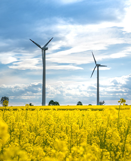 EEB2 - Zelene karijere i mladi