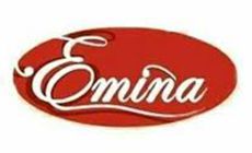 Udruženje žena Emina Ustikolina